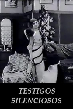 Poster Testigos Silenciosos