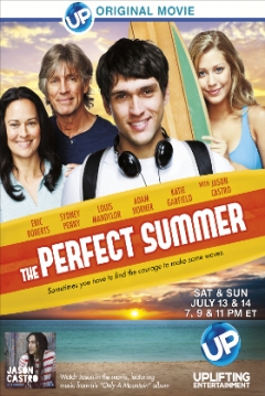 Poster The Perfect Summer