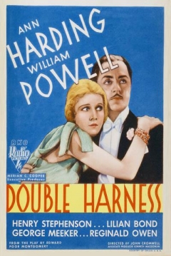 Poster Double Harness