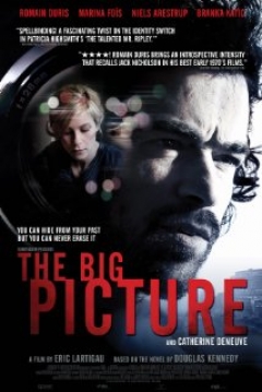 Poster The Big Picture
