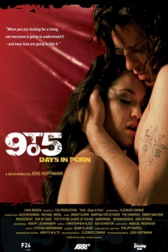 Poster 9 to 5: Days in Porn