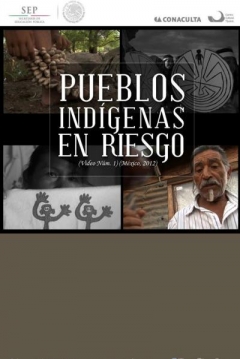 Poster Pueblos Indígenas en Riesgo