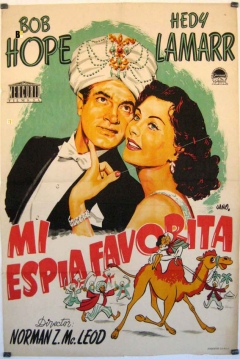 Ficha Mi Espía Favorita