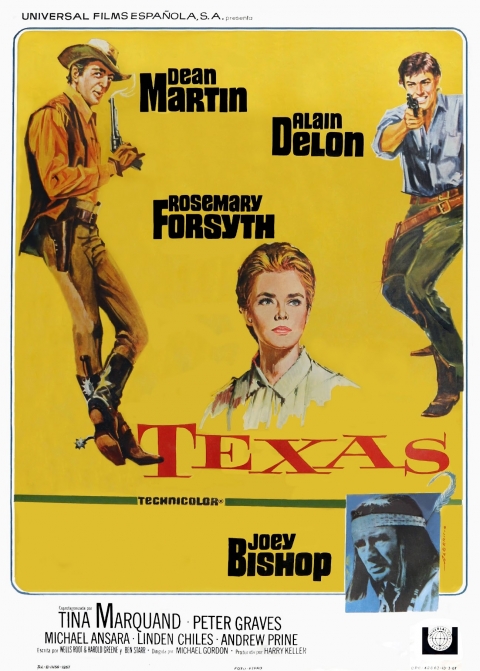 Ficha Texas 