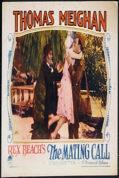 Poster Amor Siniestro