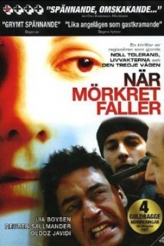 Poster When Darkness Falls