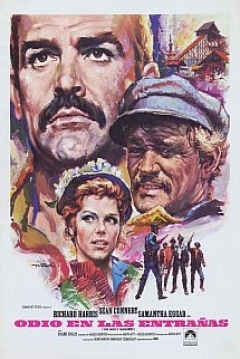 Odio en las Entrañas — póster