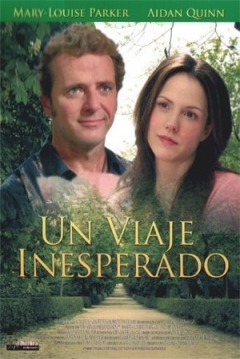 Ficha Un Viaje Inesperado