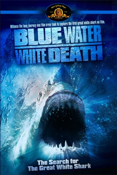 Poster Agua Azul, Muerte Blanca