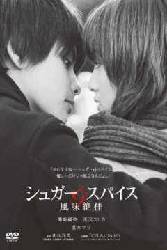 Poster Sugar & Spice