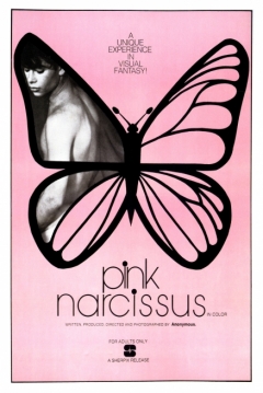 Poster Pink Narcissus