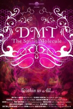 Poster DMT: The Spirit Molecule