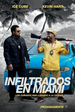 Póster de Infiltrados en Miami