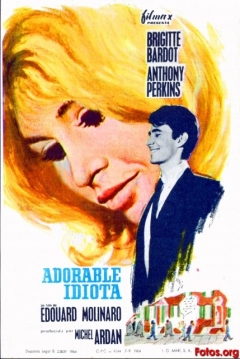 Poster Un adorable idiota