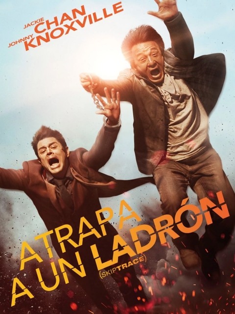 Atrapa a un Ladrón — póster