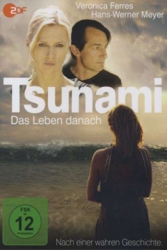 Poster Tsunami: Más Allá de la Tragedia