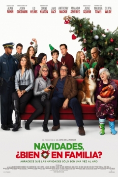 Poster Navidades, ¿Bien o en Familia?