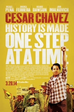 Ficha Chavez