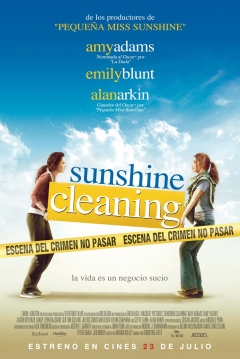 Ficha Sunshine Cleaning