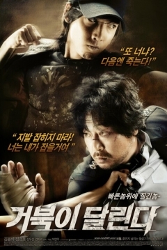 Poster Running Turtle