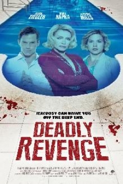 Poster Venganza Mortal