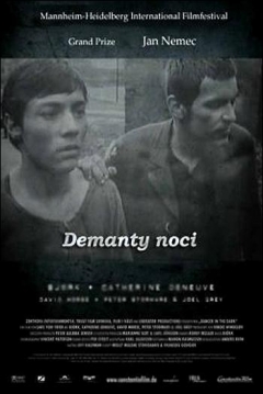 Poster Démanty Noci