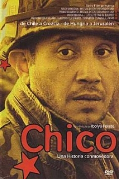 Poster Chico