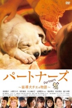 Poster Partners