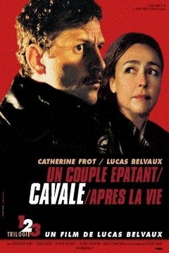 Poster Escapando