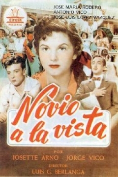 Ficha Novio a la Vista