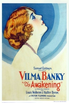 Poster The Awakening
