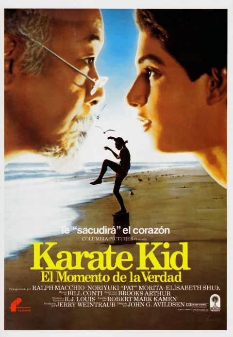 Karate Kid (El Momento de la Verdad)