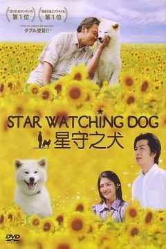 Poster Star Watching Dog