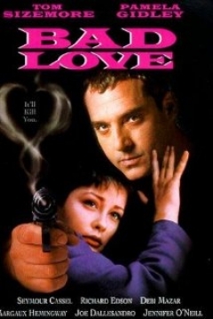 Poster Love is Like That