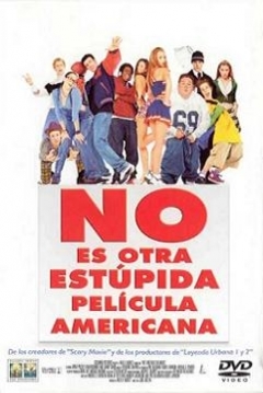 Poster No es otra Estúpida Película Americana