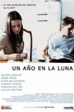 Poster Un Año En La Luna