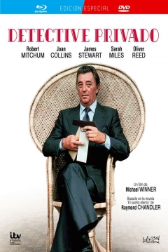 Poster Detective Privado
