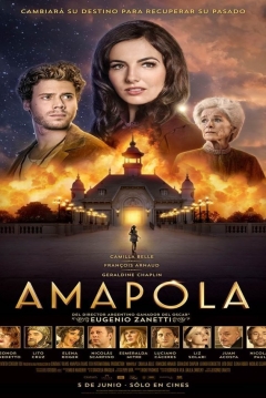 Poster Amapola