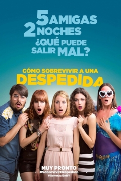 Poster Cómo Sobrevivir a una Despedida