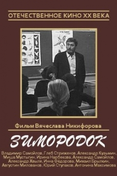 Poster Zimorodok