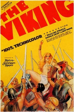 Poster The Viking