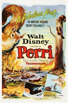 Poster Perri