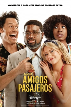 Poster Amigos Pasajeros