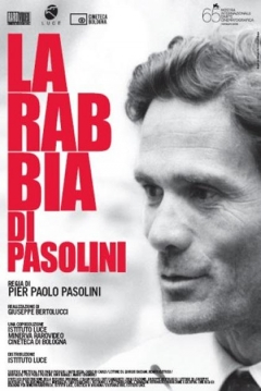 Poster La Rabia