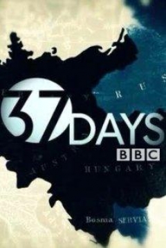 Poster 37 Días