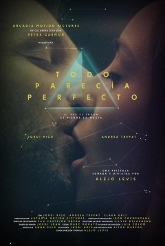 Poster Todo Parecía Perfecto