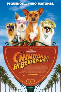 Ficha Un Chihuahua en Beverly Hills