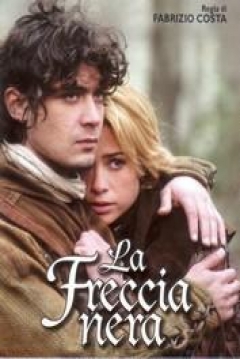 Poster La Flecha Negra