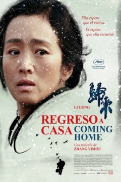 Poster Regreso a Casa