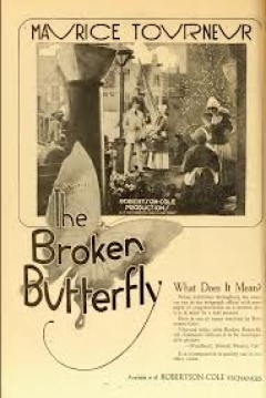 Poster The Broken Butterfly